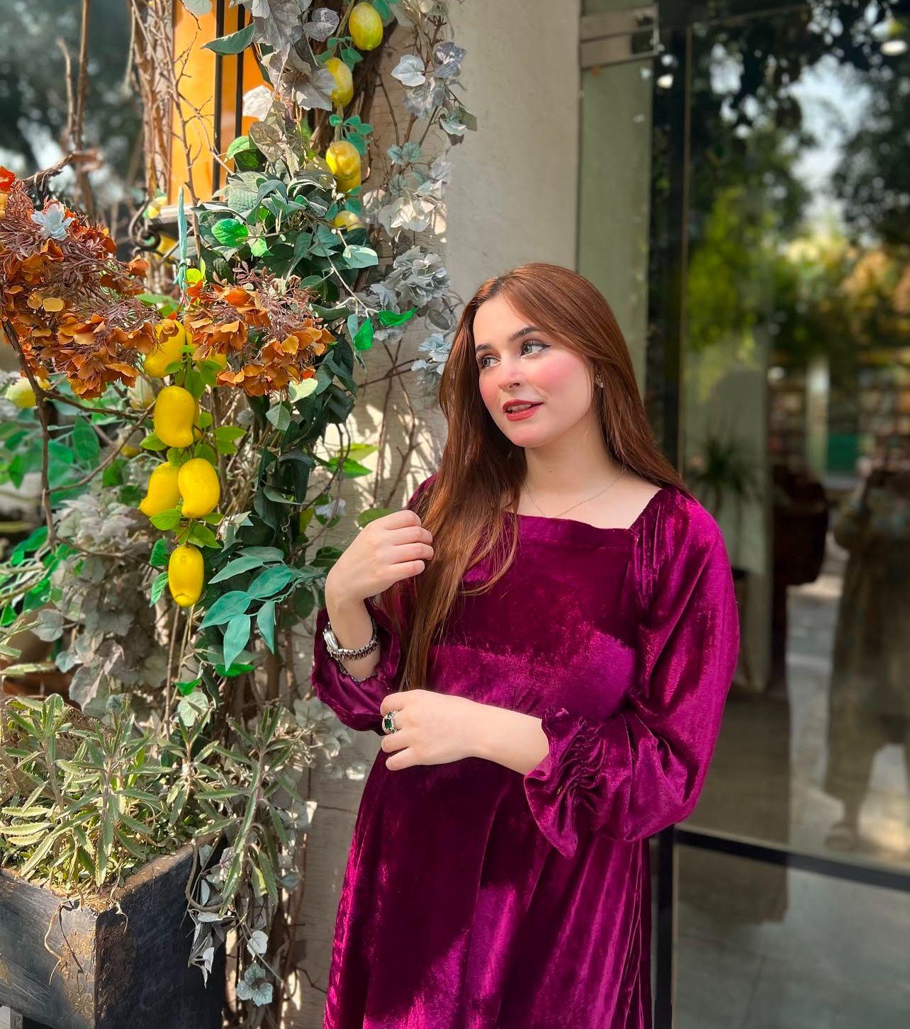 New Arrival Mina Velvet Frock